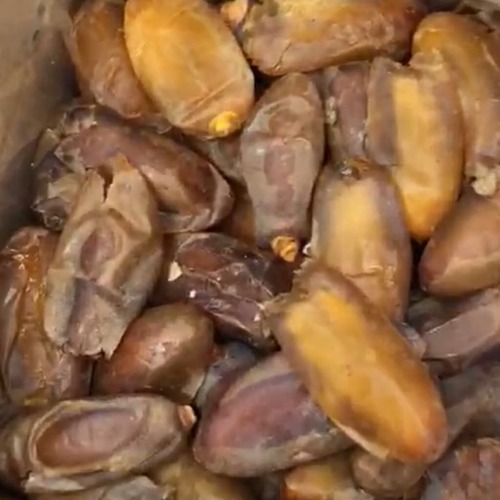 Brown Export Quality Iranian Shahani Dates