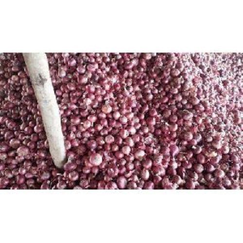 Healthy and Natural Fresh A Grade Red Onion