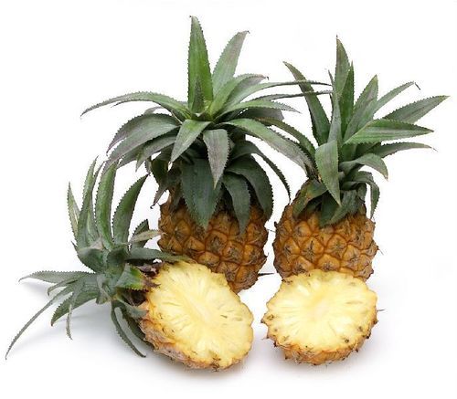 Healthy And Natural Fresh Baby Pineapple