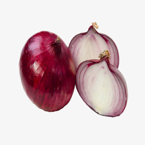 Healthy and Natural Fresh Dark Red Onion
