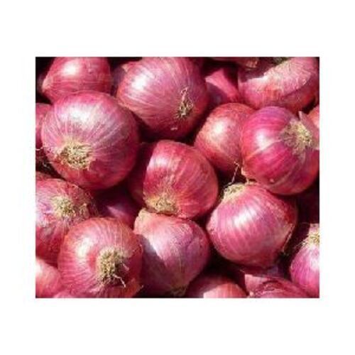 Healthy and Natural Fresh Red Onion
