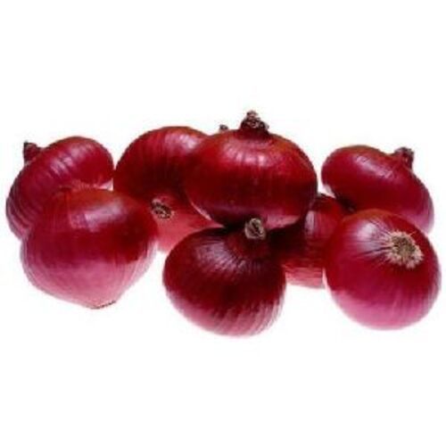 Healthy And Natural Fresh Small Red Onion