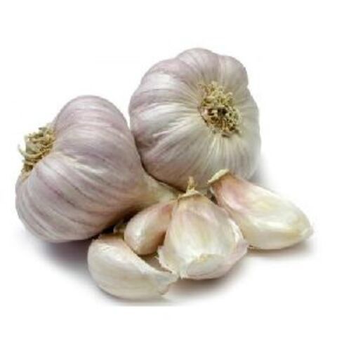 Organic Fresh Garlic - Off White, Very Good Quality | Raw Processing, Available in Gunny Bags, Net Bags, Plastic Bags