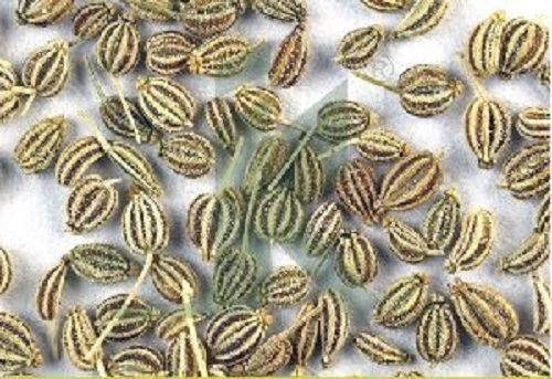 Indian Dried Carom Seed