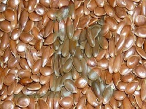 Indian Origin Dried Flax Seed