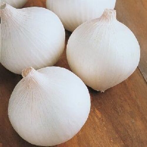 Organic Fresh White Onion - Large & Medium Sizes, Light White Color | High Purity, Organic, Packed in Jute/Net/Plastic Bags, Available in 5kg, 10kg, 20kg, 25kg