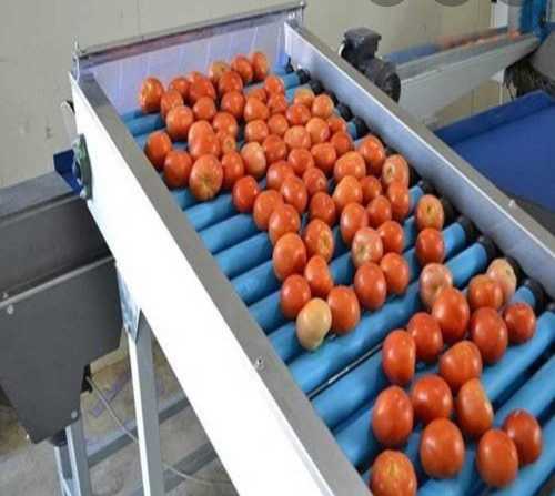 Tomato Grading Machine