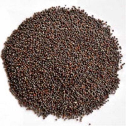 Organic Dried Brown Mustard Seeds