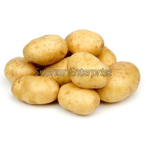Healthy and Natural Chandramukhi Potato