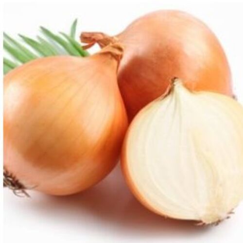 Healthy and Natural Fresh Brown Onion
