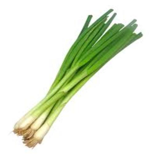 Healthy and Natural Fresh Green Onion