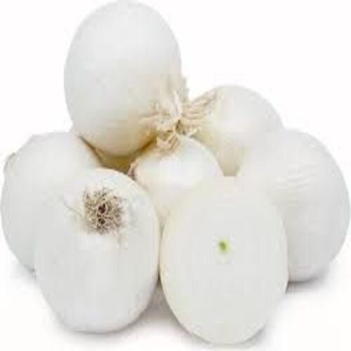 Healthy And Natural Fresh White Onion