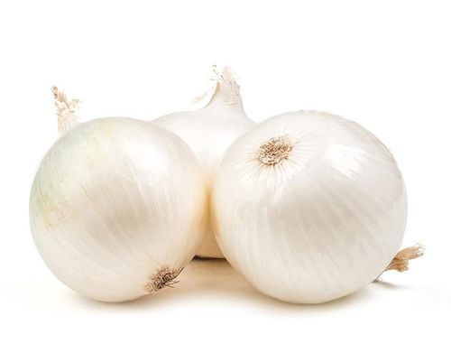 Healthy and Natural Fresh White Onion