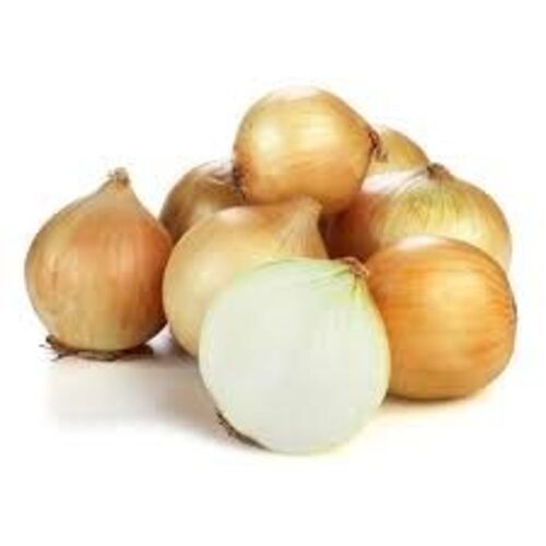 Healthy And Natural Fresh Yellow Onion