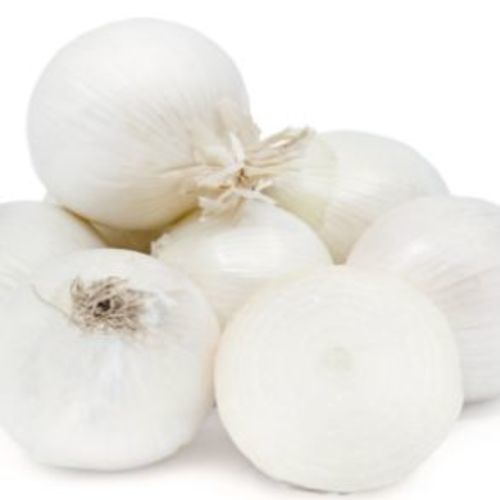 Healthy And Natural White Onion Shelf Life: 15-20 Days