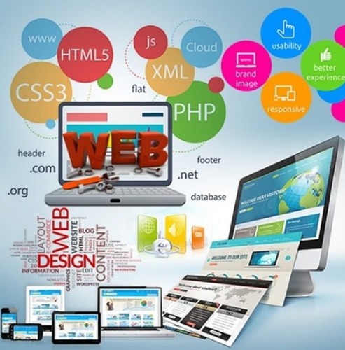 College Designing Service