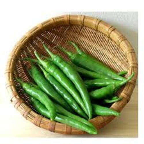 Healthy And Natural Fresh Green Chilli Moisture (%): 5 %