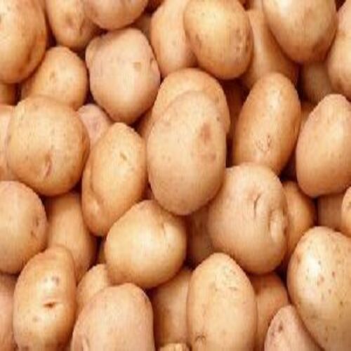 Healthy and Natural Fresh Chipsona Potato