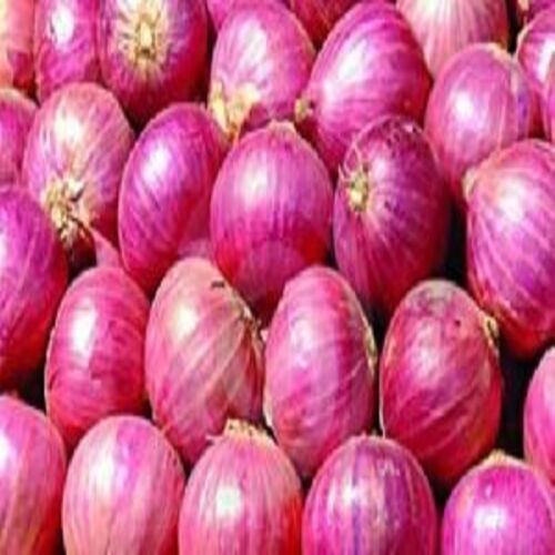 Healthy and Natural Fresh Red Onion