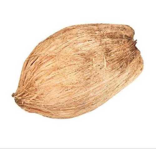 Semi Husked Matured Coconut
