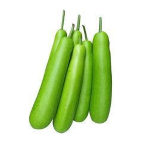 Healthy and Natural Fresh Bottle Gourd