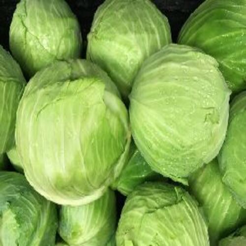 Round Healthy And Natural Fresh Cabbage