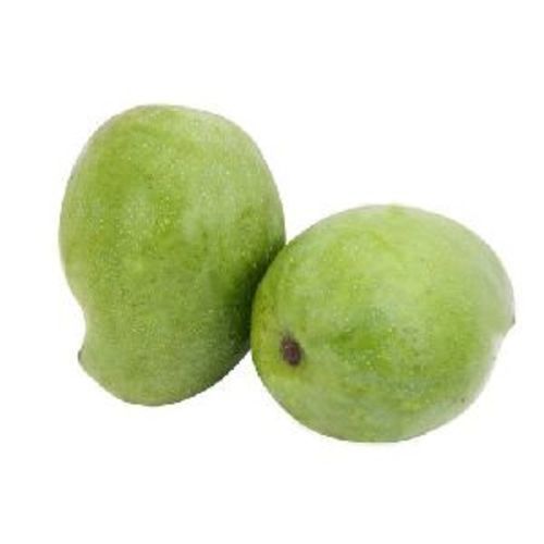 Organic Healthy And Natural Fresh Green Mango