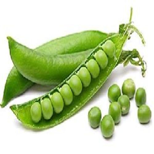 Healthy And Natural Fresh Green Peas Moisture (%): 15 %