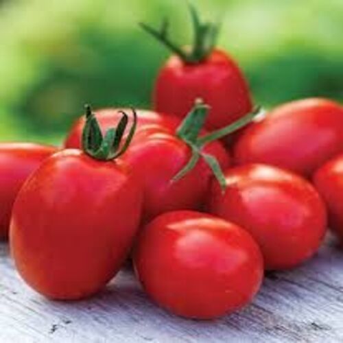 Healthy and Natural Fresh Hybrid Tomato