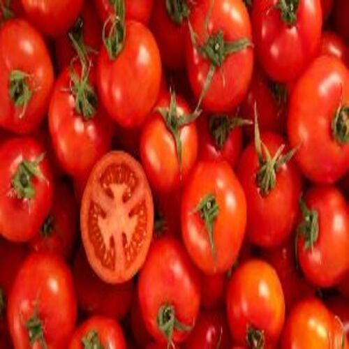 Round Healthy And Natural Fresh Tomato