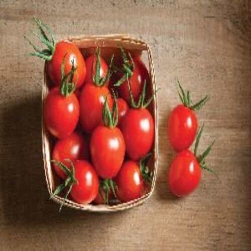 Round Healthy And Natural Fresh Tomato