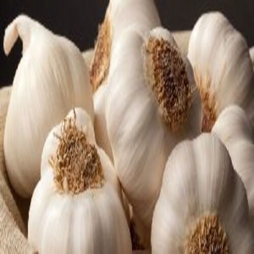 Healthy And Natural Fresh White Garlic Shelf Life: 2 Week