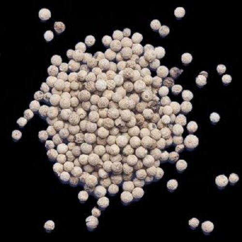 स्वस्थ और प्राकृतिक सफेद मिर्च के बीज