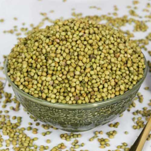 Organic Natural Taste Coriander Seed