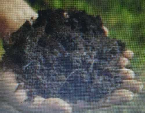 Brown Organic Fertilizer For Agriculture