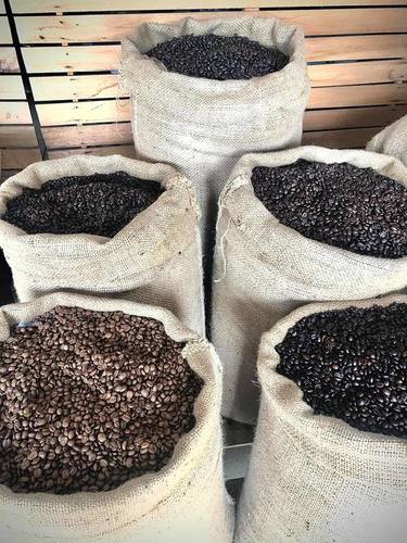 100% Organic Coffee Beans Grade: Aaa