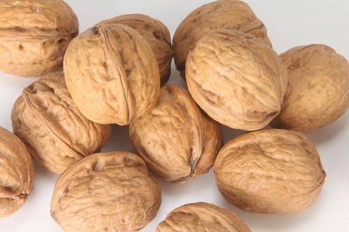 100% Organic Walnut Kernel