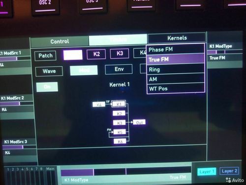 Digital Hybrid Synthesizer for Prefessionals