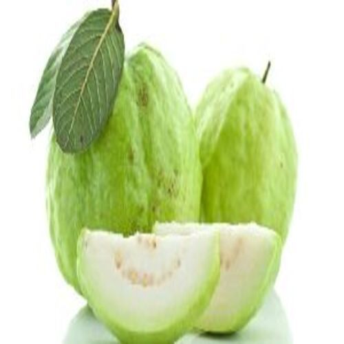 Green Healthy And Natural Fresh Guava