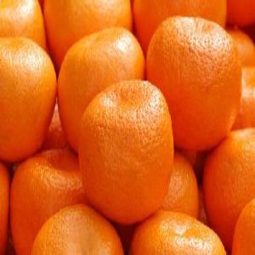 Organic Healthy And Natural Fresh Orange