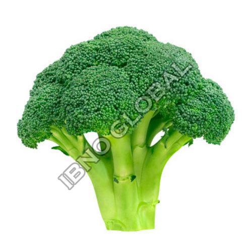 Healthy and Natural Fresh Broccoli