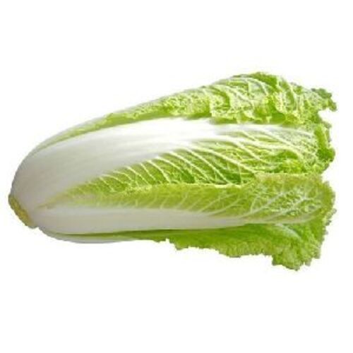 Healthy and Natural Fresh Chinese Cabbage