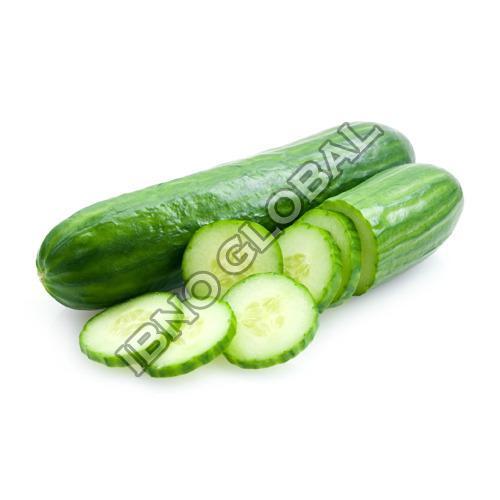 Healthy and Natural Fresh Cucumber