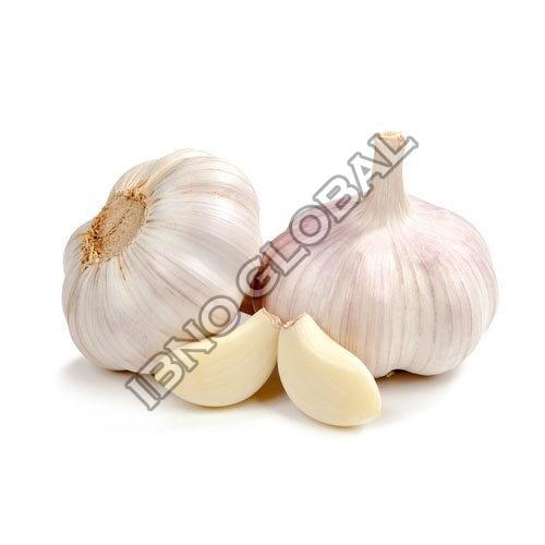 Healthy And Natural Fresh Garlic Moisture (%): 2 %