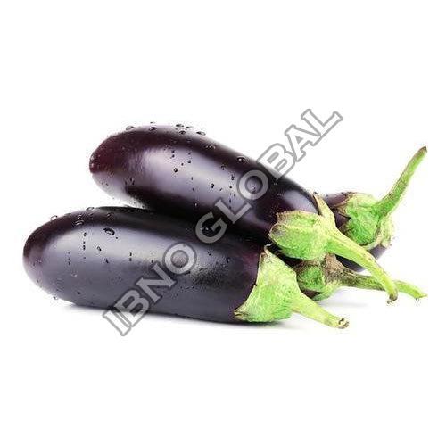 Healthy and Natural Fresh Purple Brinjal