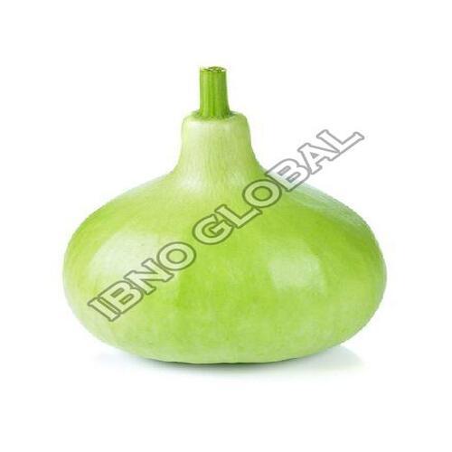 Healthy and Natural Fresh Round Gourd