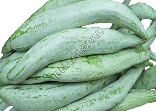 Healthy and Natural Fresh Snake Gourd