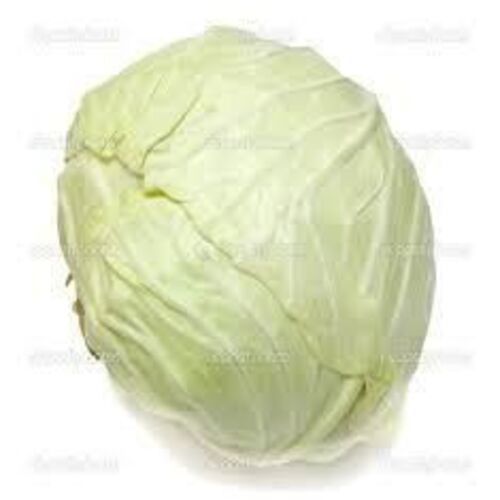 Round Healthy And Natural Fresh White Cabbage