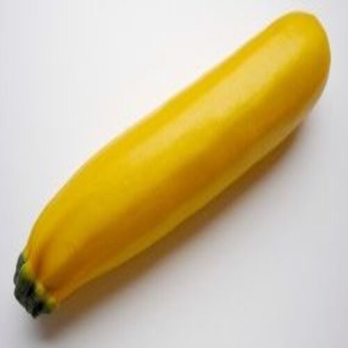 Healthy and Natural Fresh Yellow Zucchini