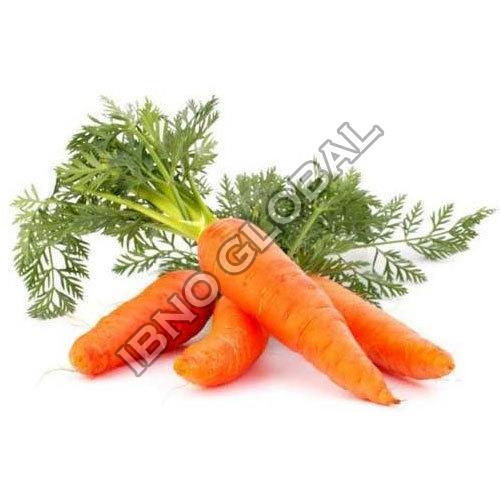  स्वस्थ और प्राकृतिक ताजा लाल गाजर